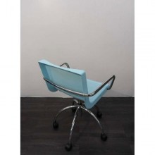 UnknownWieltjesBlauw_2